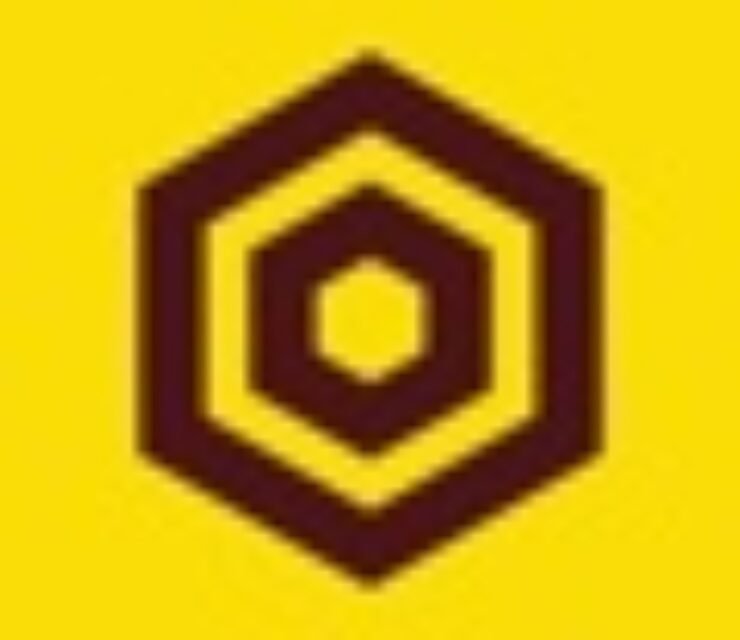 Director of Engineering