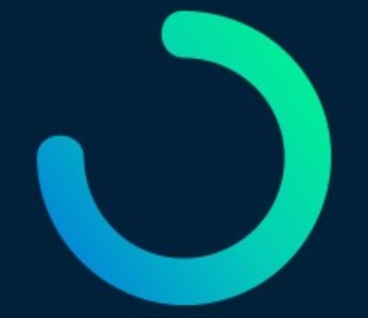 Intern Project Manager